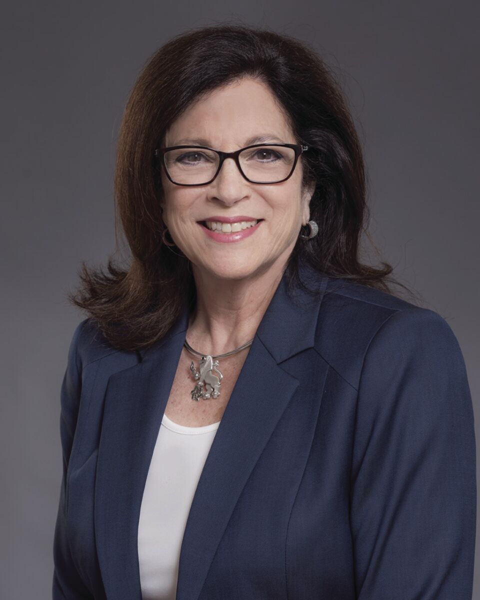 Anita Zucker (copy)